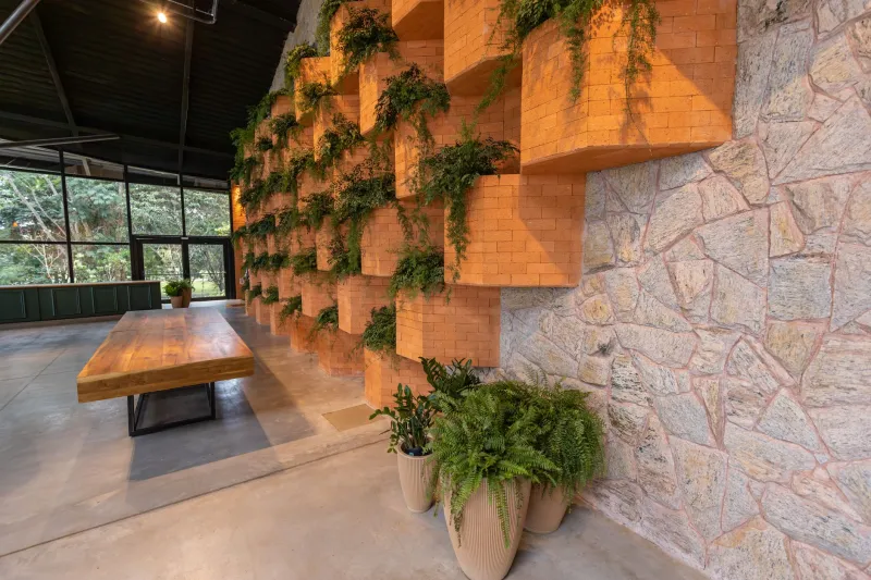 Designing for the Mind: How Corporate Architecture Is Answering the Mental Health Imperative