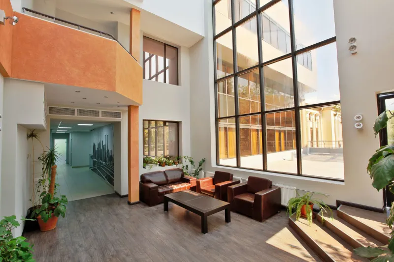 Light as a Building Material: Rethinking Office Design Through the Science of Natural Illumination